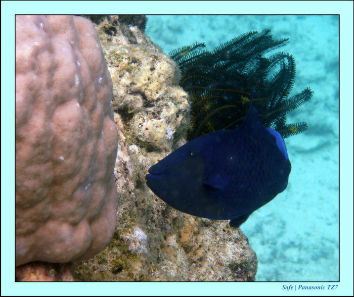 2009   07   Matakin 55